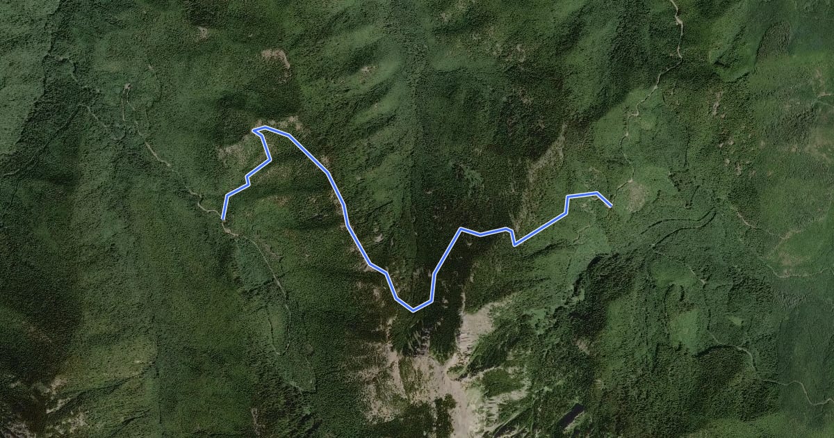 Маршрут Little Quilcene Trail #835 на спутниковом снимке