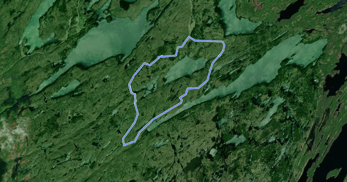 Маршрут Little Salmon Lake Loop на спутниковом снимке