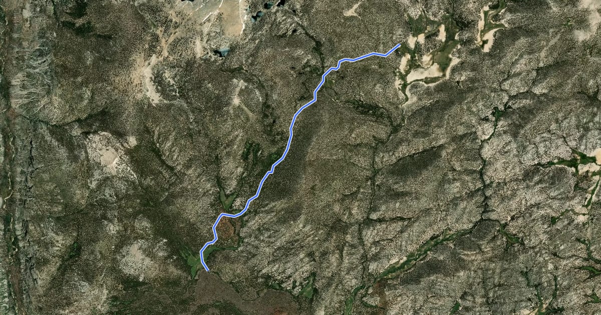 Маршрут Little Whitney to Big Whitney Meadow Trail на спутниковом снимке