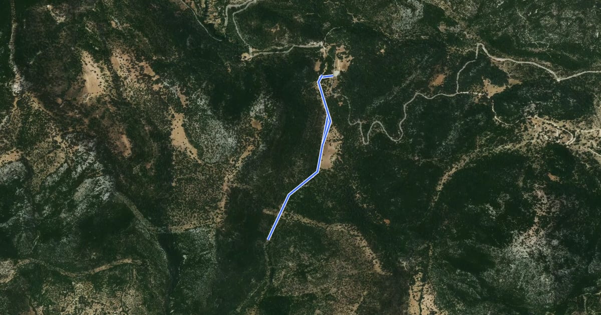 Маршрут LLANOS DEL BERRAL на спутниковом снимке