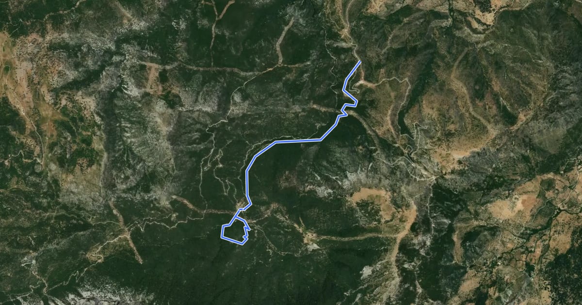 Маршрут Llanos del Rabel на спутниковом снимке