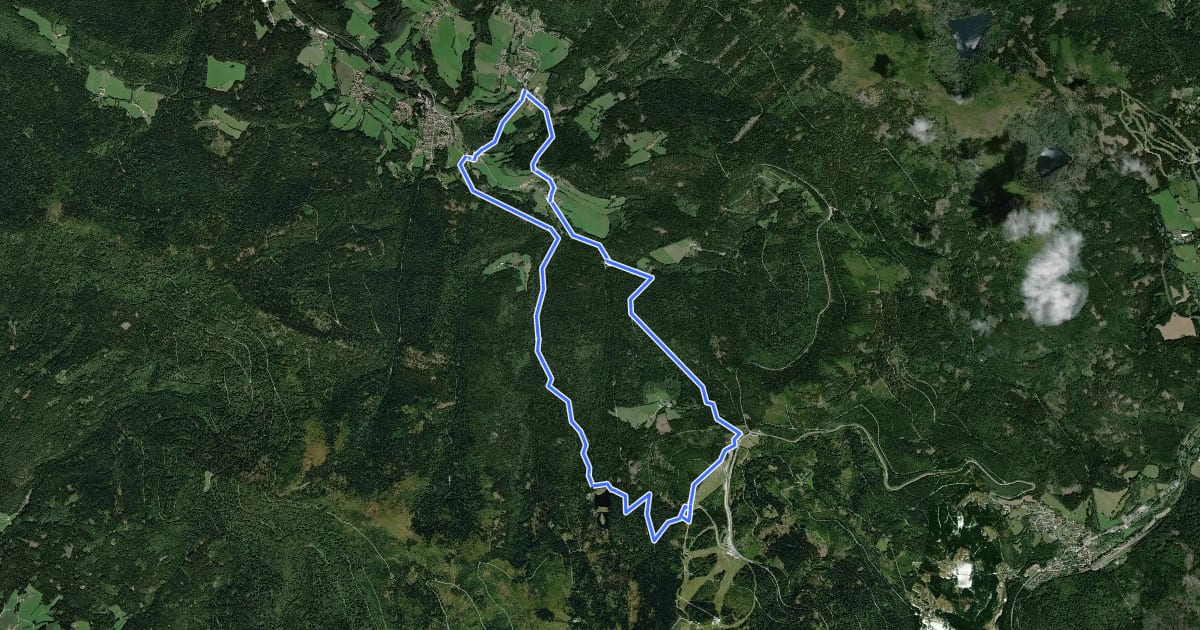 Маршрут Lo 3 Lohberg - Erlebnispfad Brennes - kleiner Arbersee на спутниковом снимке