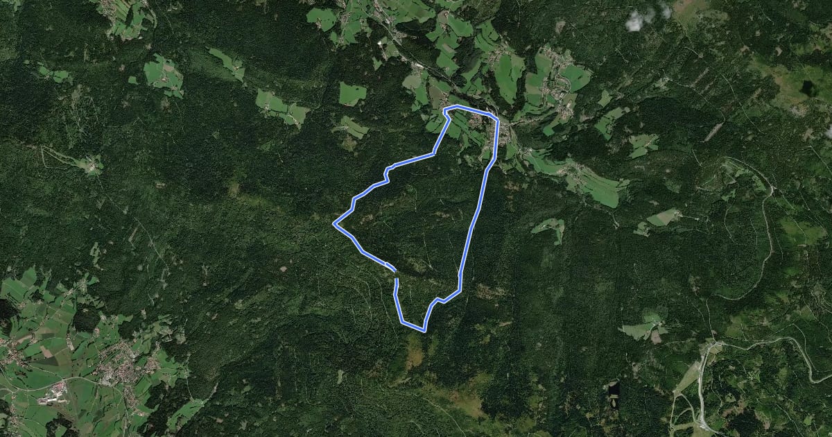 Маршрут Lo 7 Schwarzecker Rundweg (Lohberg) на спутниковом снимке