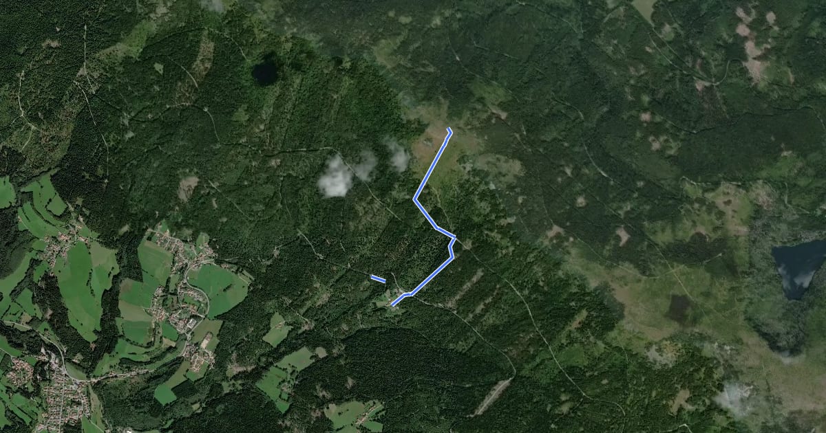Маршрут Lo 8 Altlohberghütte – Grenzsteig (Lohberg) на спутниковом снимке