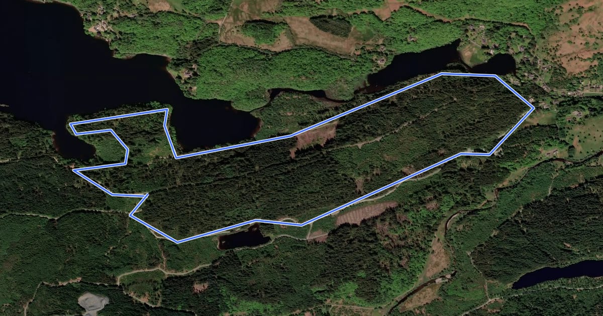 Маршрут Loch Ard Sculpture Trail на спутниковом снимке