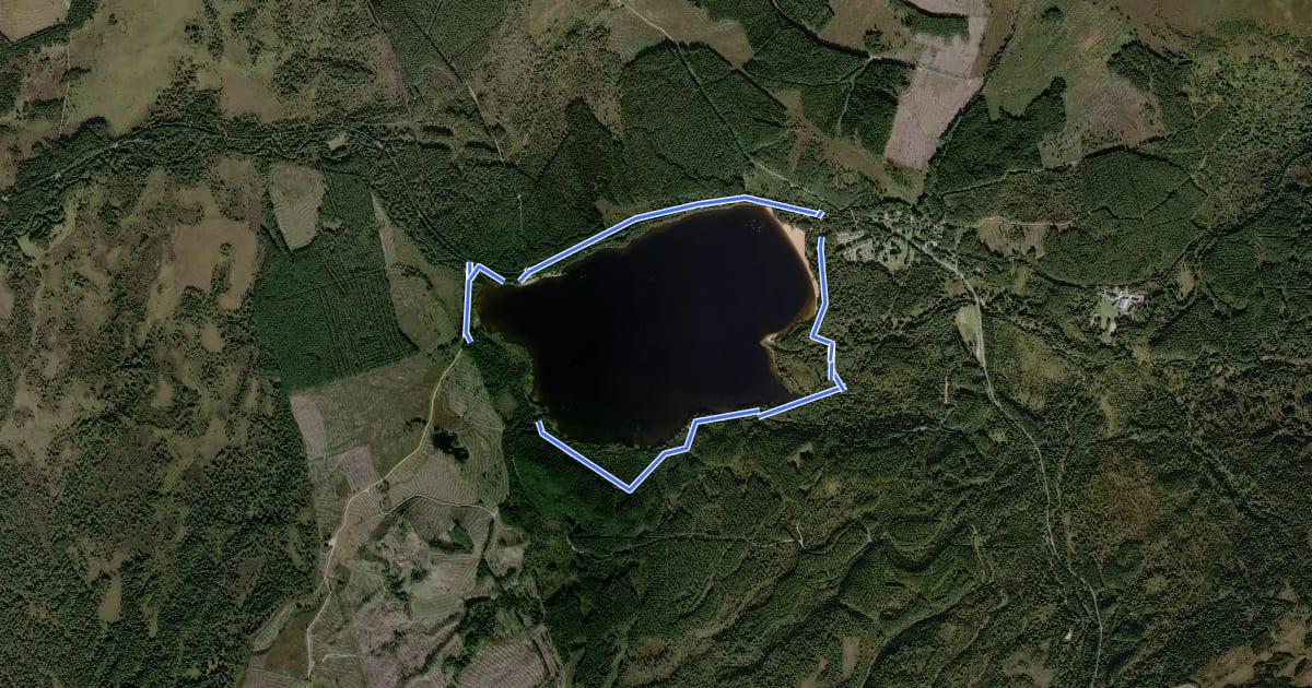 Маршрут Loch Morlich Trail на спутниковом снимке