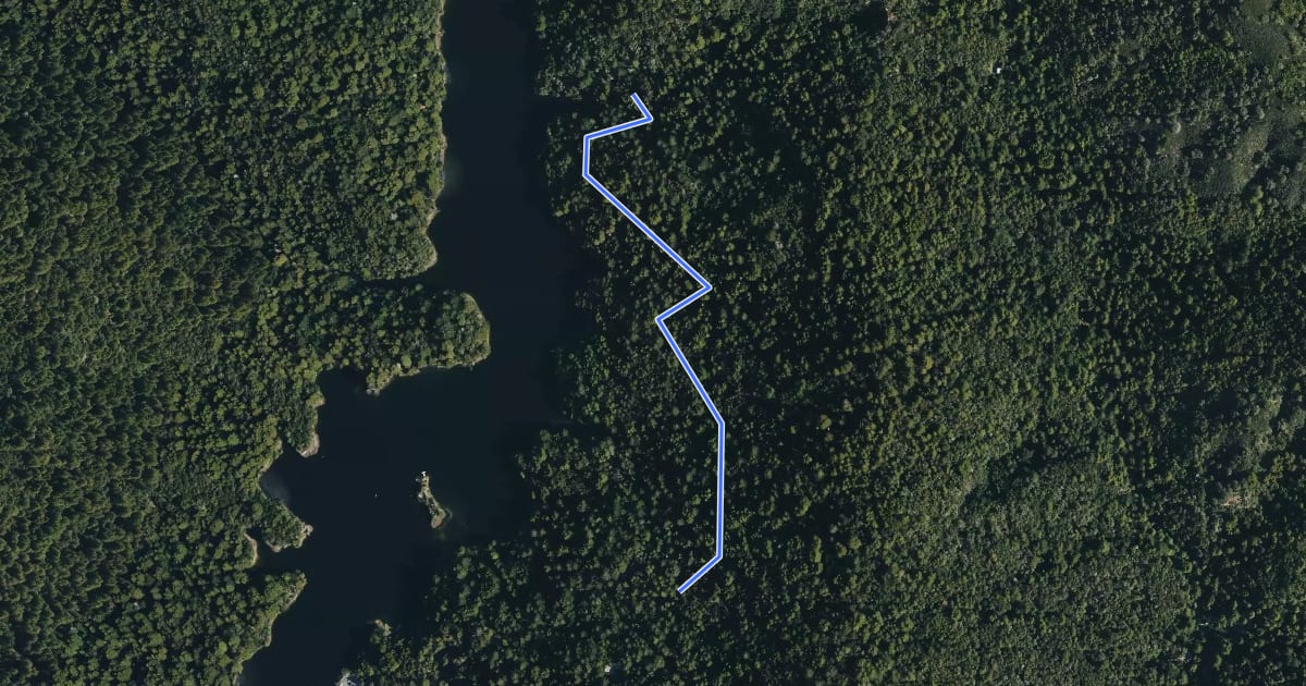 Маршрут Loch Sloy Trail на спутниковом снимке