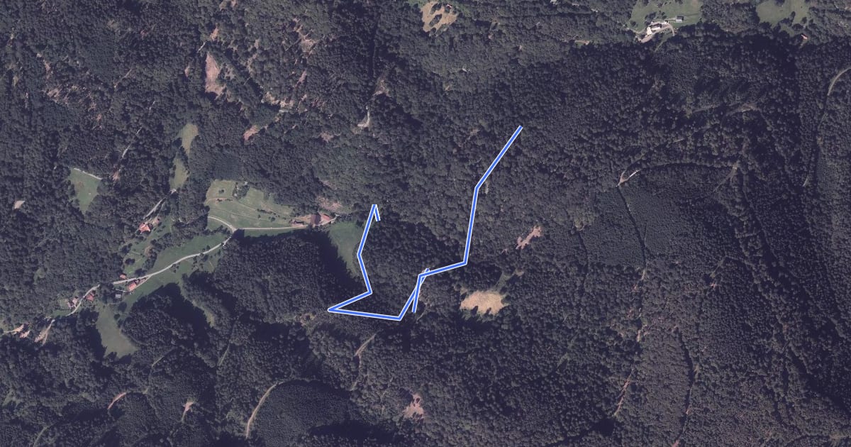 Маршрут Lochbauernhof - Alter Gefällweg на спутниковом снимке