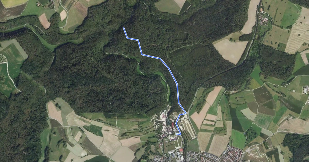 Маршрут Lochmühle Portal - Krebsbachtalhütte на спутниковом снимке