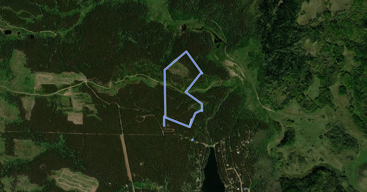 Маршрут Lodgepole Trail на спутниковом снимке