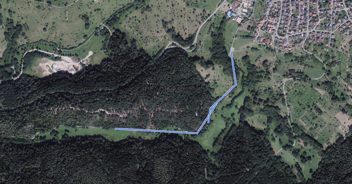 Маршрут Loffenau Igelbachtal - Heuweg на спутниковом снимке