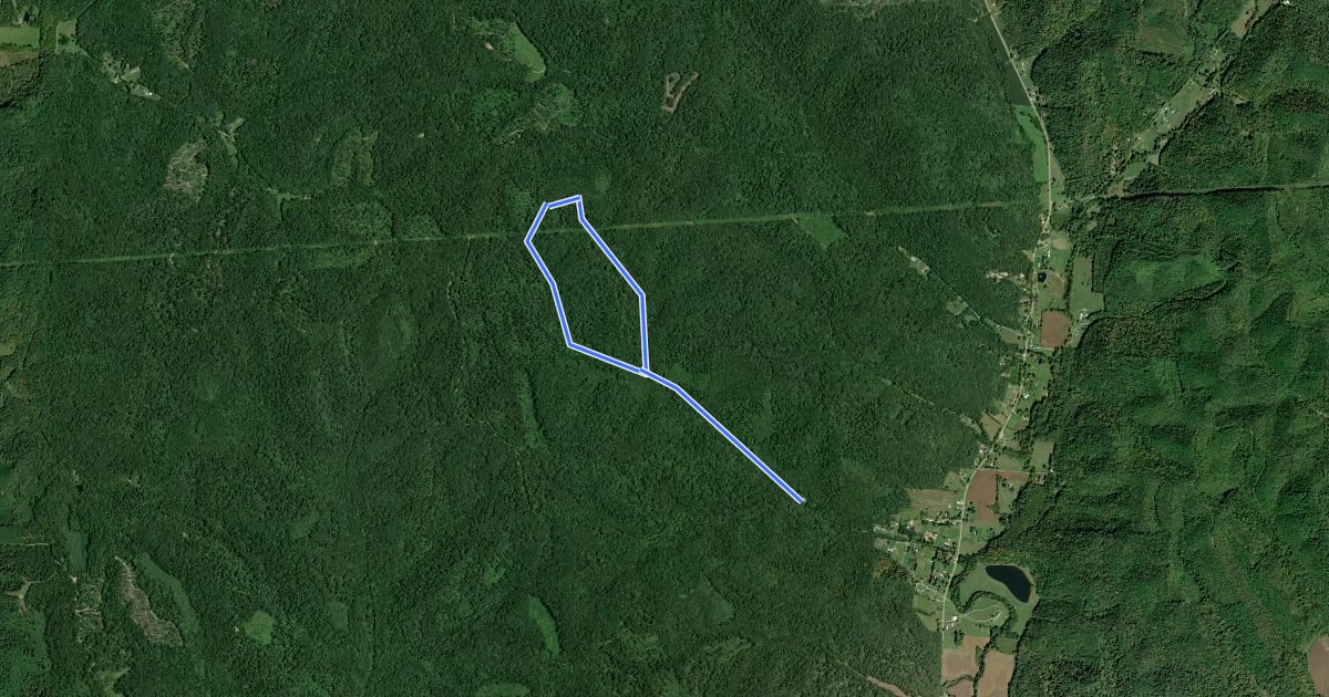 Маршрут Logan Backpack Trail - Dullen Loop на спутниковом снимке