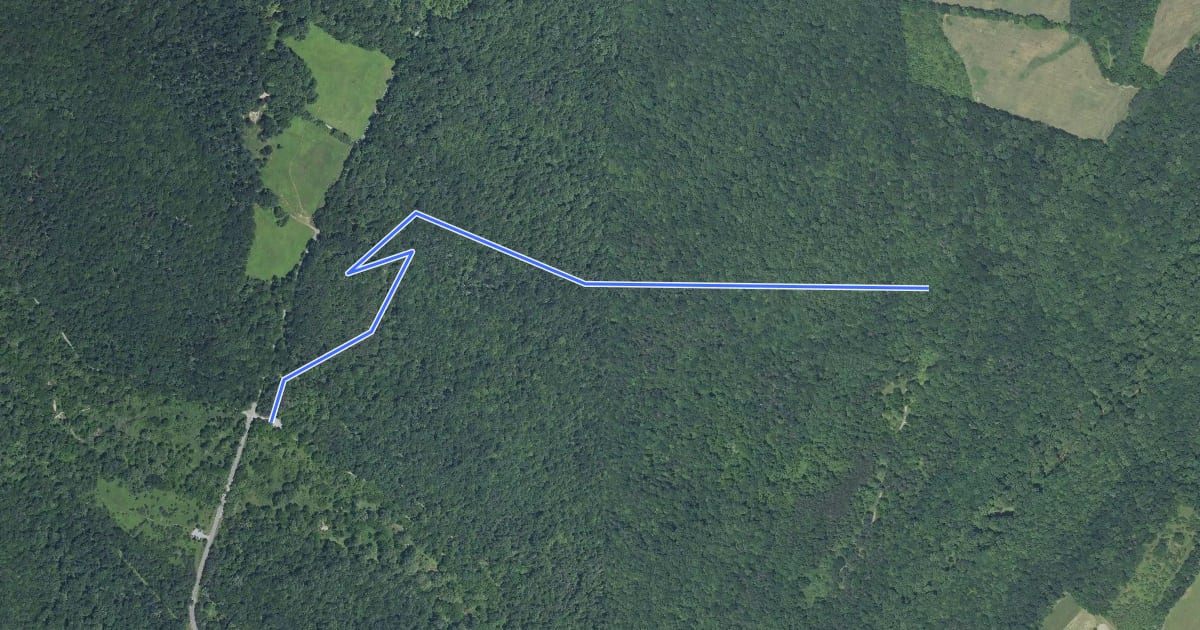 Маршрут Loggers Trail на спутниковом снимке