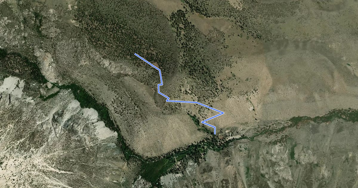Маршрут Logging Flat Trail на спутниковом снимке