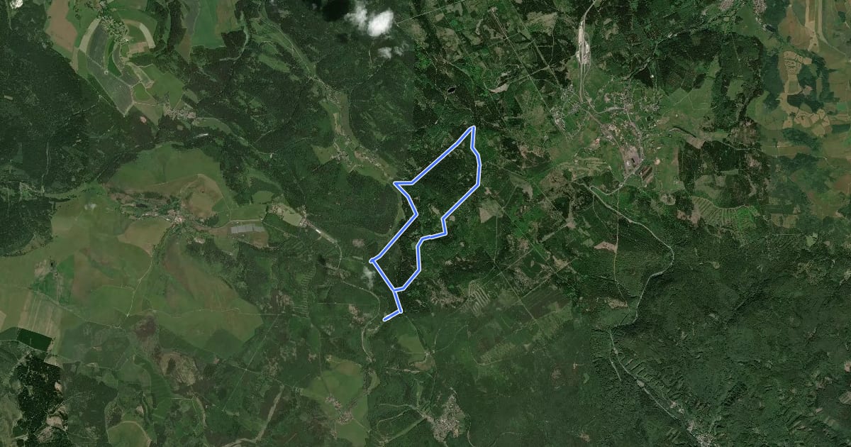 Маршрут Loipe 10 km (#3) на спутниковом снимке