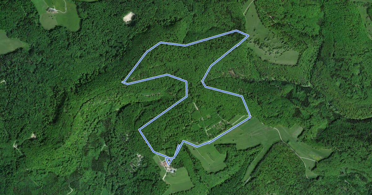 Маршрут Loipe 435 Randenspur Klassisch 7 km на спутниковом снимке