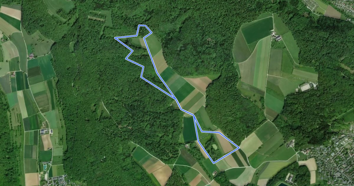 Маршрут Loipe Eschheimertal на спутниковом снимке
