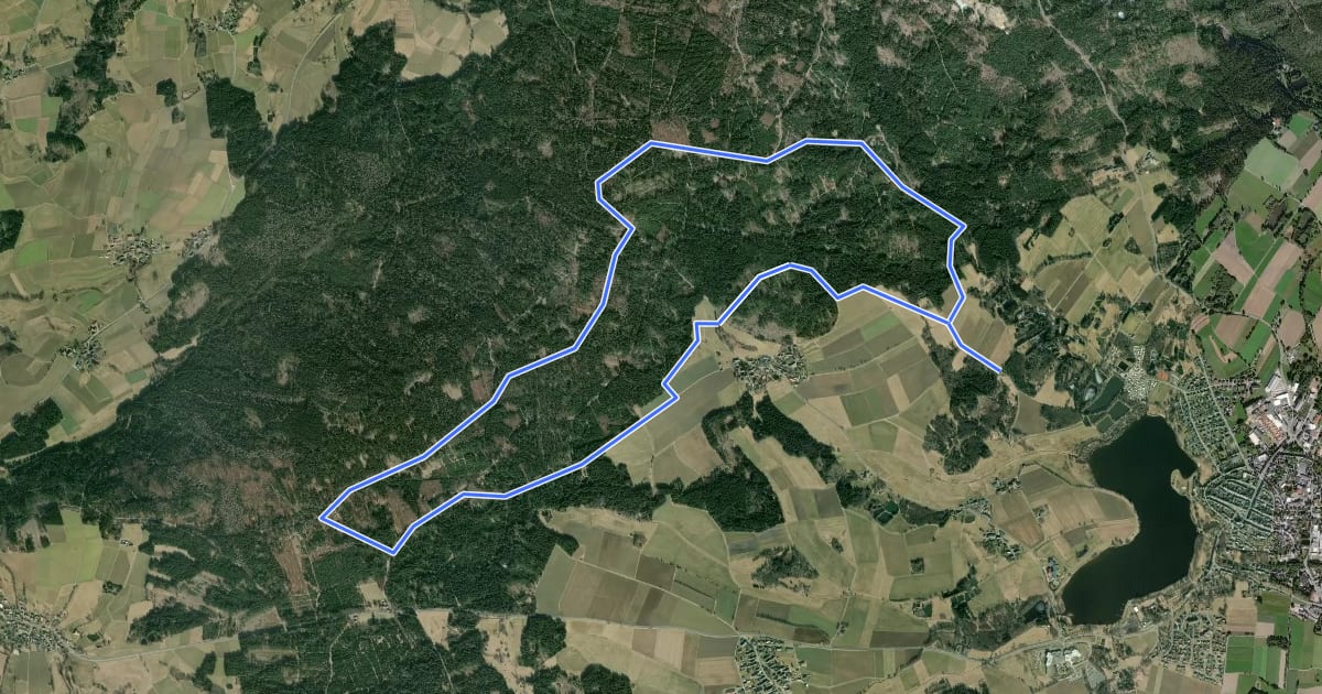 Маршрут Loipe Großer Waldstein на спутниковом снимке