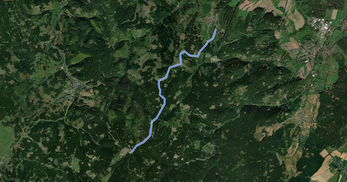 Маршрут Loipe Langewiesen Route B на спутниковом снимке