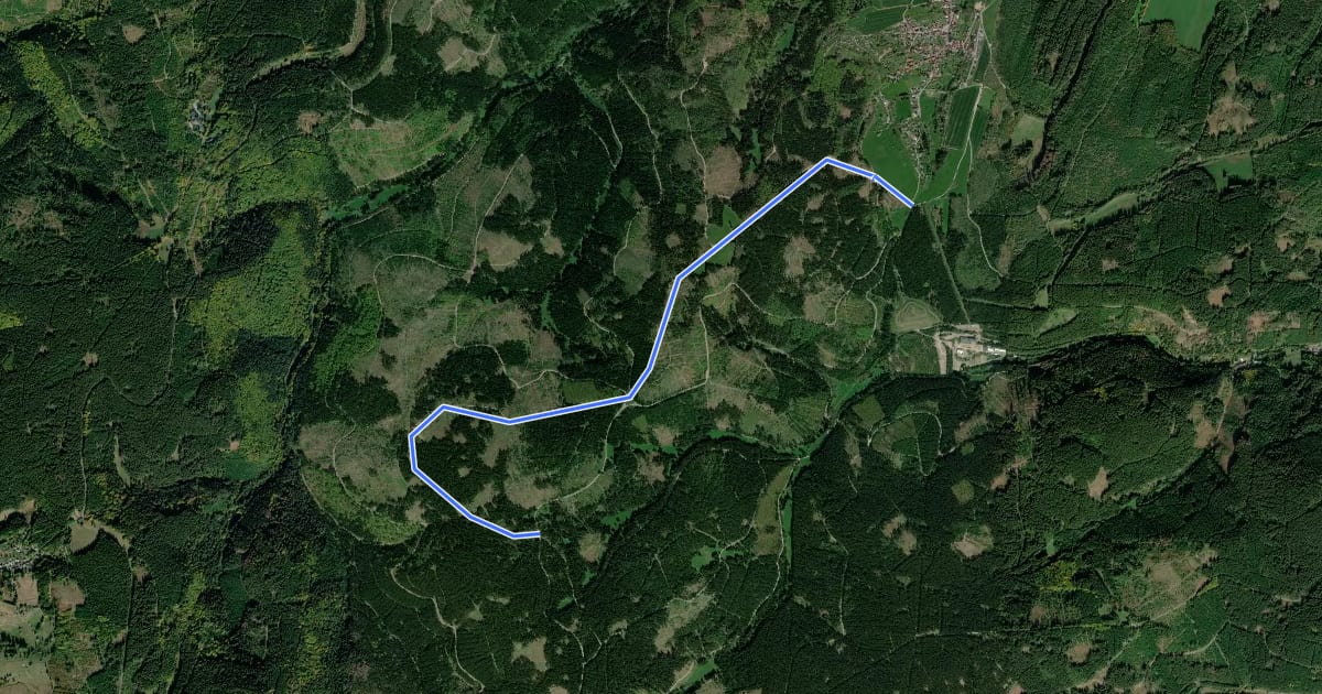 Маршрут Loipe Langewiesen Route C на спутниковом снимке
