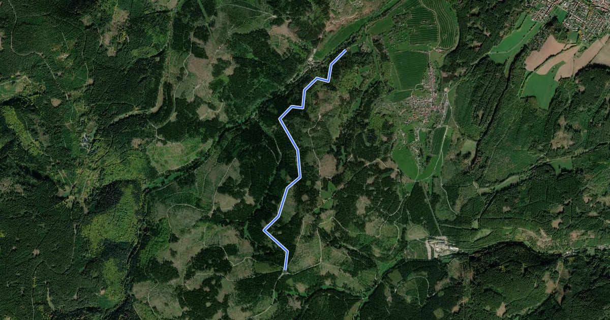 Маршрут Loipe Langewiesen Route D на спутниковом снимке