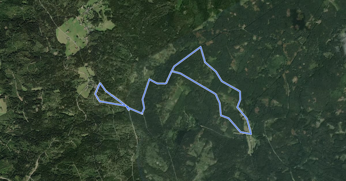 Маршрут Loipe Silberhütte 10km Klassisch Goldbachhütte на спутниковом снимке