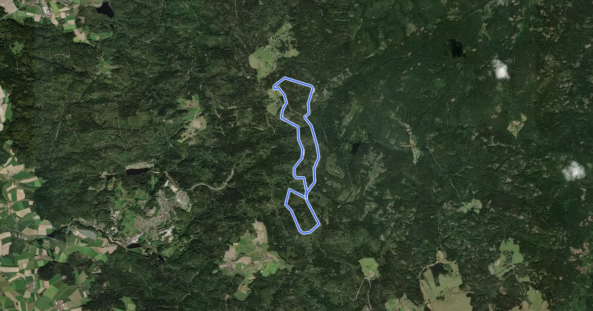 Маршрут Loipe Silberhütte 11km Skating на спутниковом снимке