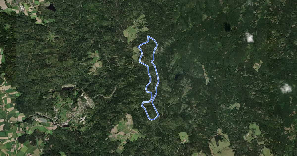 Маршрут Loipe Silberhütte 12km Klassisch на спутниковом снимке
