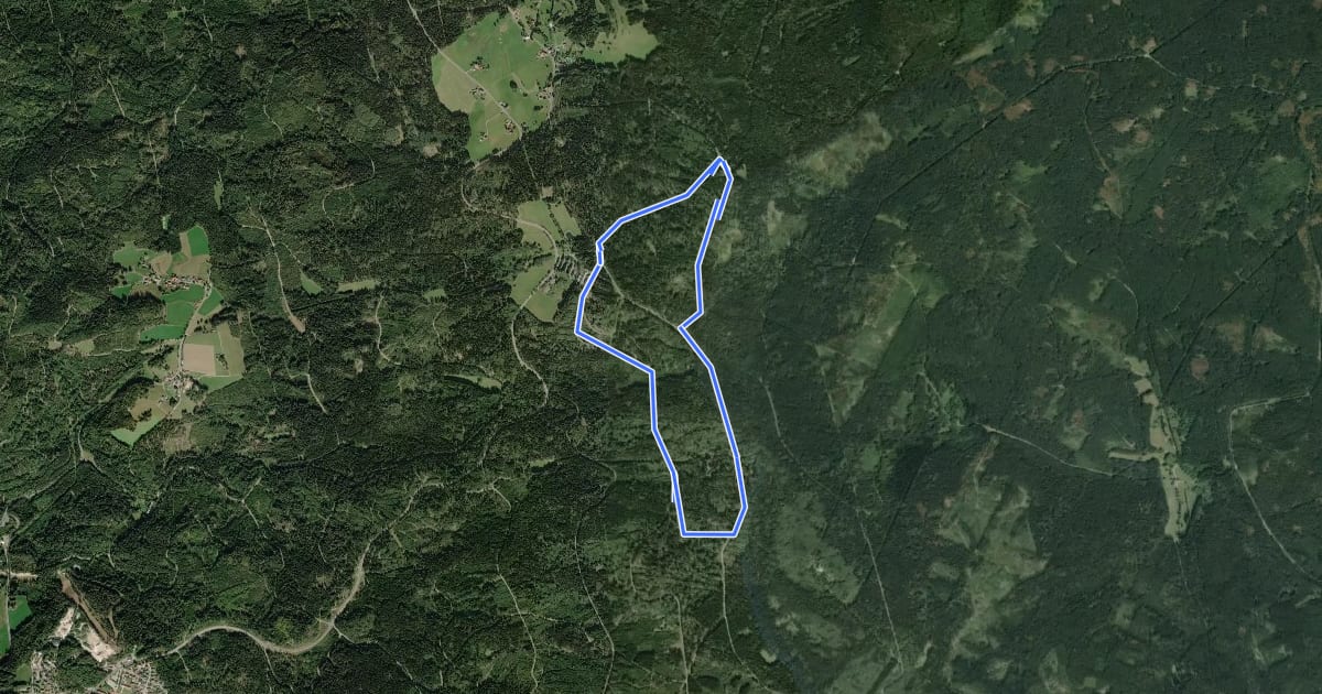 Маршрут Loipe Silberhütte 5km Klassisch на спутниковом снимке