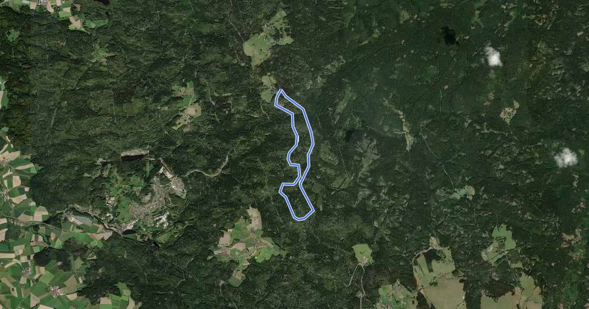 Маршрут Loipe Silberhütte 9km Klassisch на спутниковом снимке