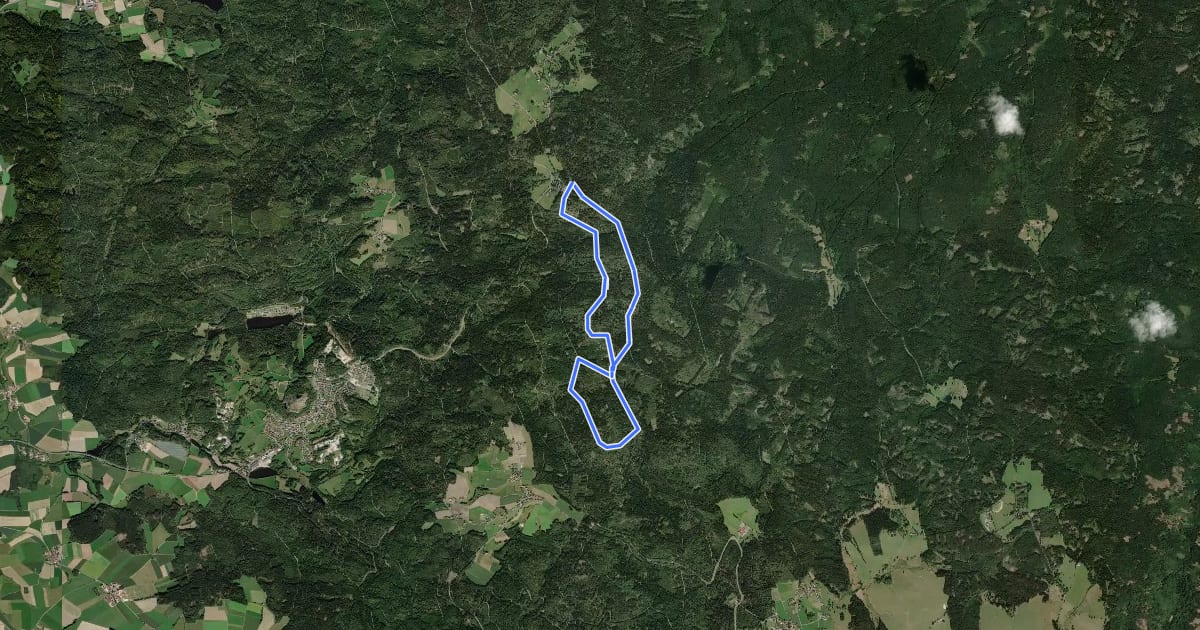 Маршрут Loipe Silberhütte 9km Skating на спутниковом снимке