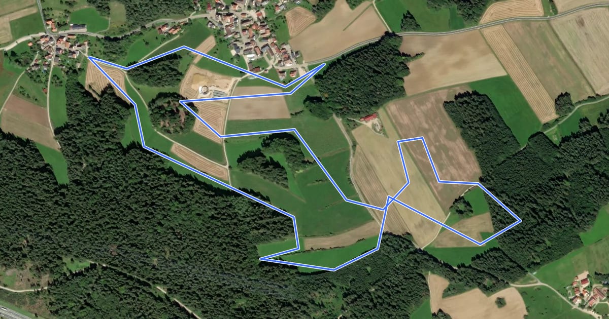 Маршрут Loipe Waller 5 - Lieritzhofen Rundloipe на спутниковом снимке