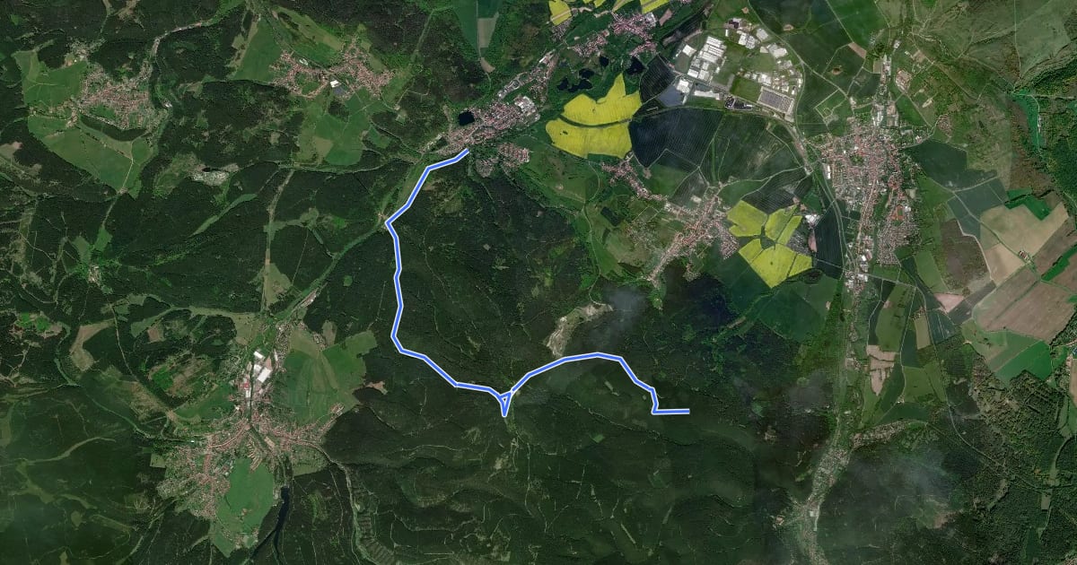 Маршрут Lokaler Wanderweg Georgenthal - Luisenthal на спутниковом снимке