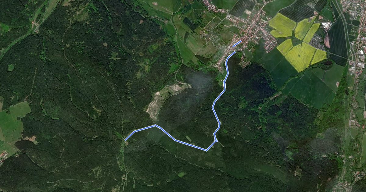 Маршрут Lokaler Wanderweg Gräfenhain - Steigerhaus на спутниковом снимке