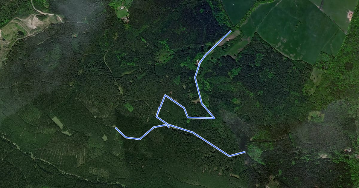 Маршрут Lokaler Wanderweg Scherershütte - Pirschhaus на спутниковом снимке