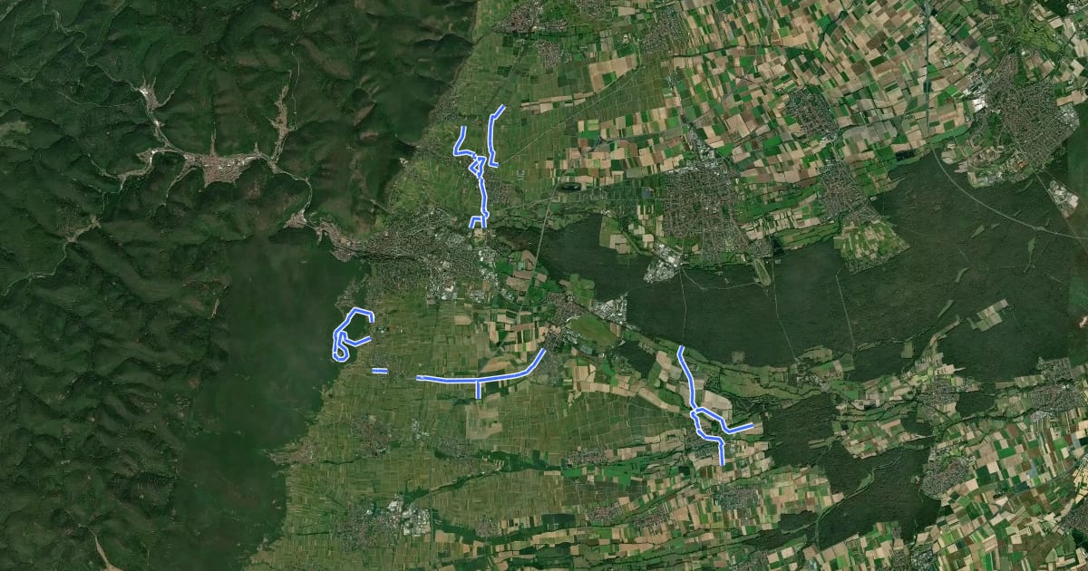 Маршрут Lokales Radwegenetz Stadt Neustadt/Weinstraße на спутниковом снимке