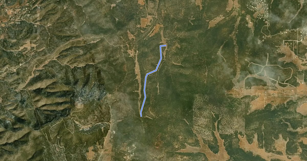 Маршрут Lone Pine Trail на спутниковом снимке