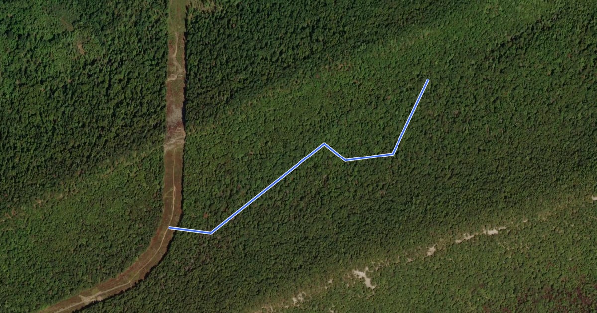 Маршрут Lone Pine Trail на спутниковом снимке