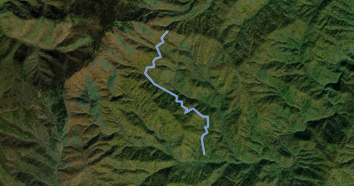 Маршрут Long Bunk Trail на спутниковом снимке