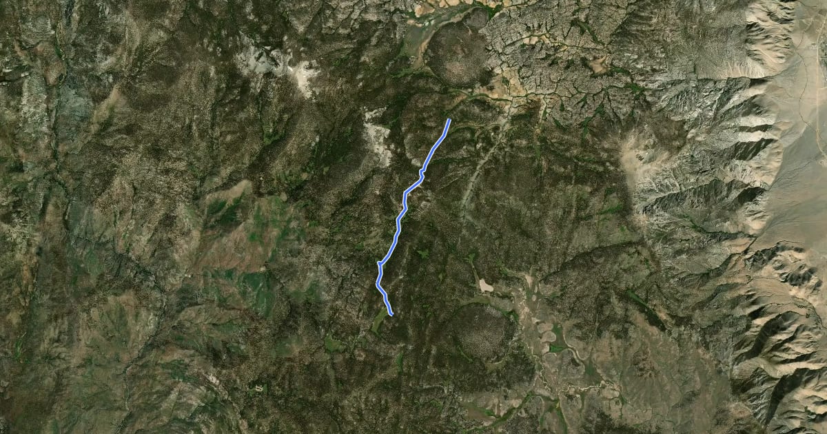 Маршрут Long Canyon Trail на спутниковом снимке