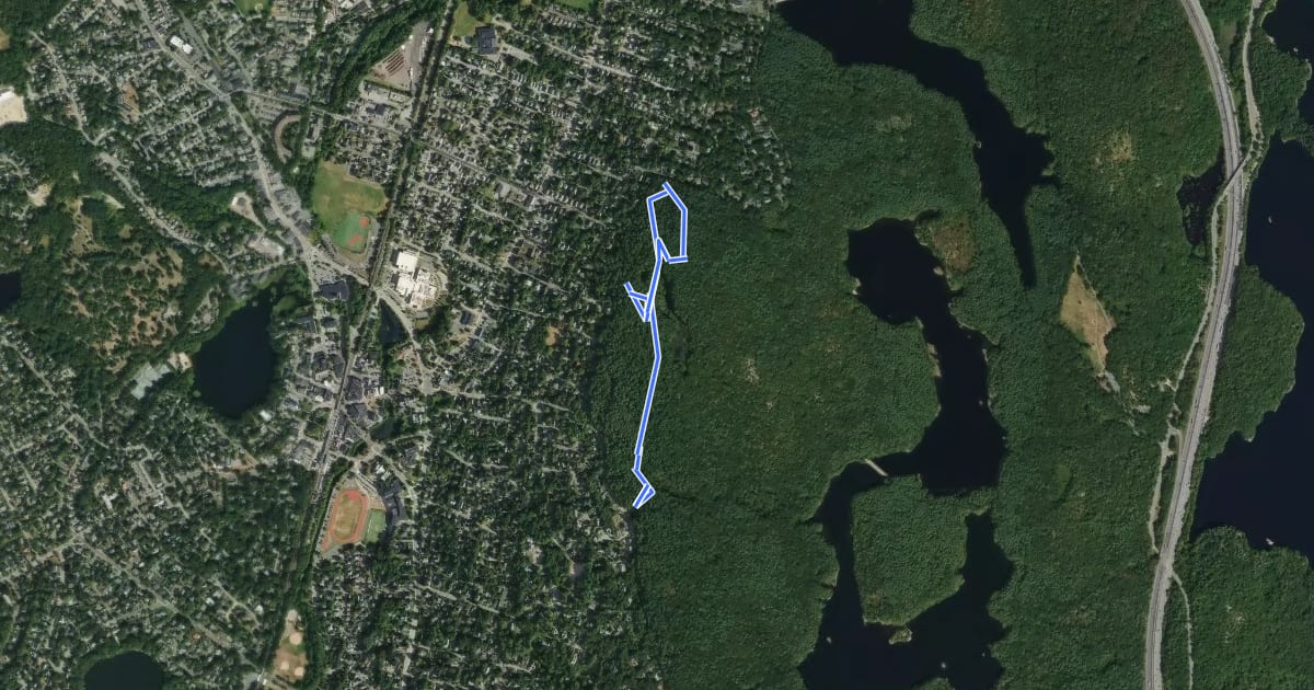 Маршрут Long Pond Nature Trail на спутниковом снимке