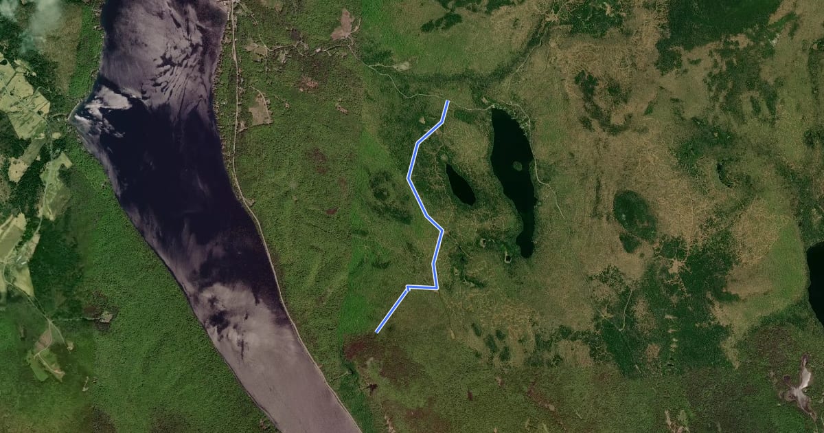 Маршрут Long Pond Trail на спутниковом снимке