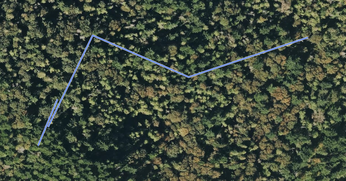 Маршрут Long View Peak Trail на спутниковом снимке