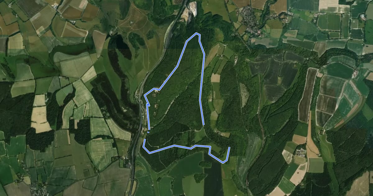 Маршрут Long Woodland Trail на спутниковом снимке