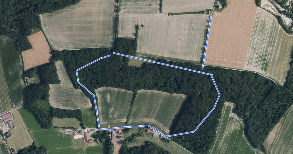 Маршрут Longinusturm Rundweg A1 на спутниковом снимке