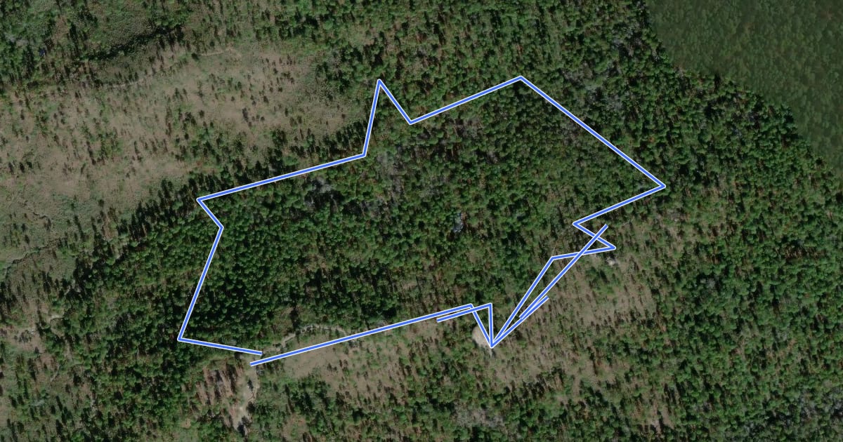 Маршрут Longleaf Vista Interpretive Trail на спутниковом снимке