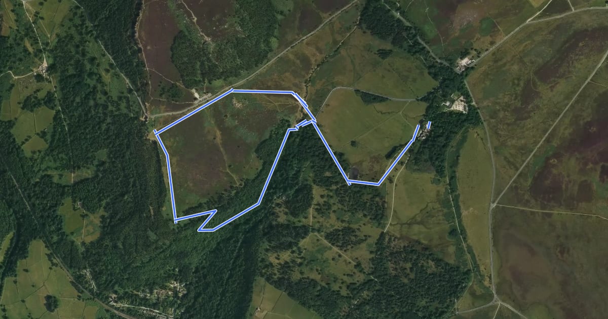 Маршрут Longshaw Woodland Explorer Walk, Longshaw Estate на спутниковом снимке
