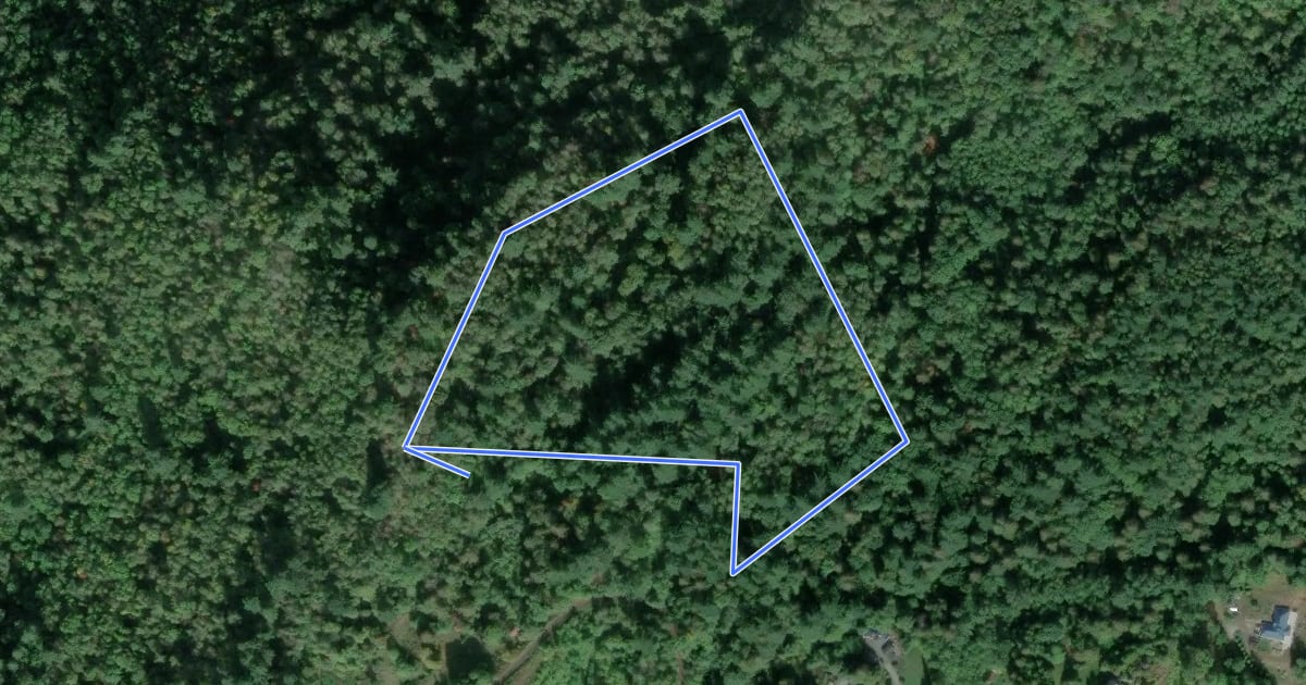 Маршрут Lookout Loop Trail на спутниковом снимке