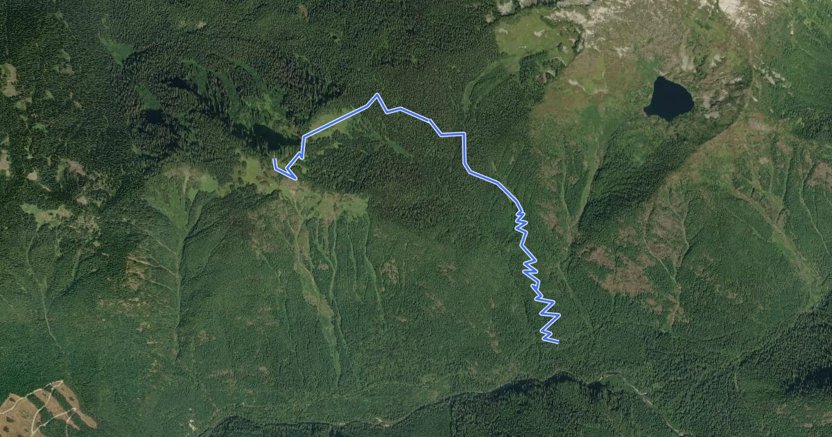 Маршрут Lookout Mountain Trail на спутниковом снимке