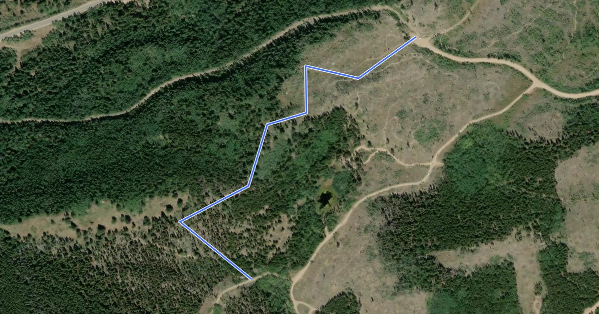 Маршрут Lookout Trail на спутниковом снимке